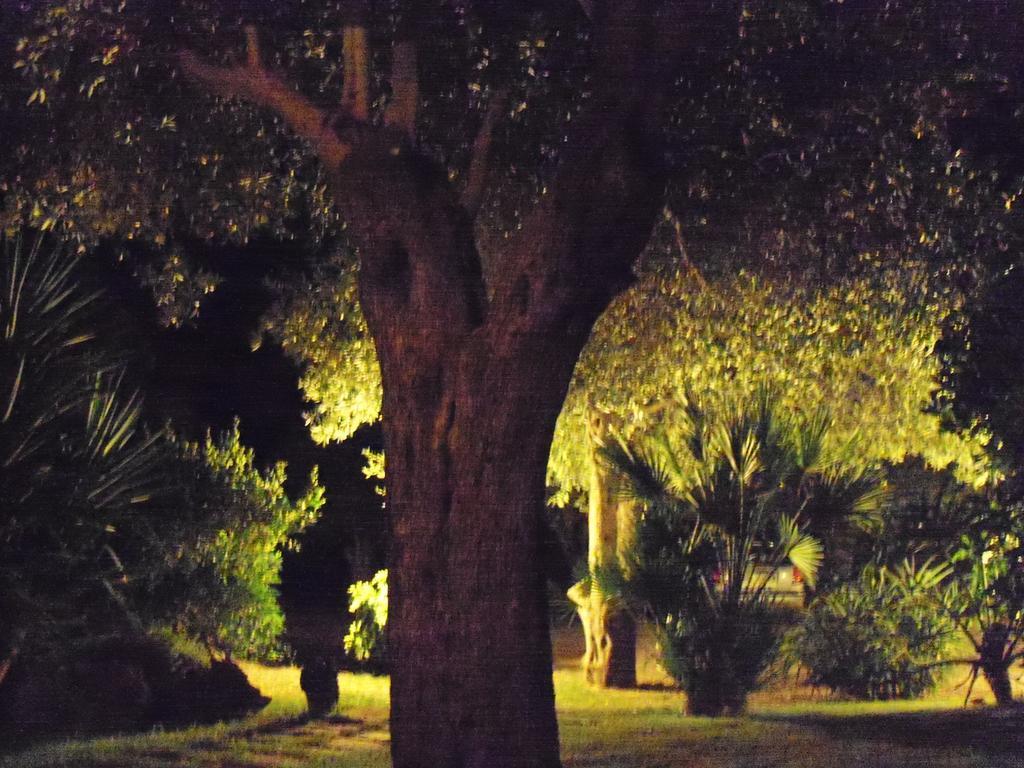 Apartmán Gli Ulivi Alghero Pokoj fotografie
