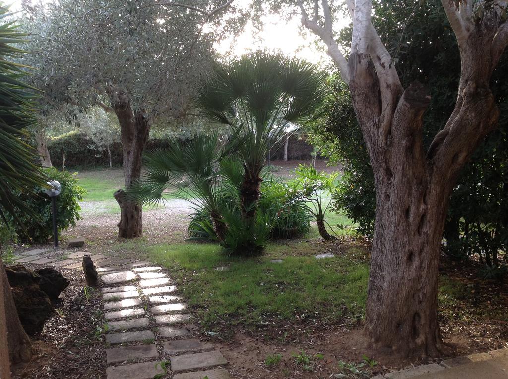 Apartmán Gli Ulivi Alghero Exteriér fotografie